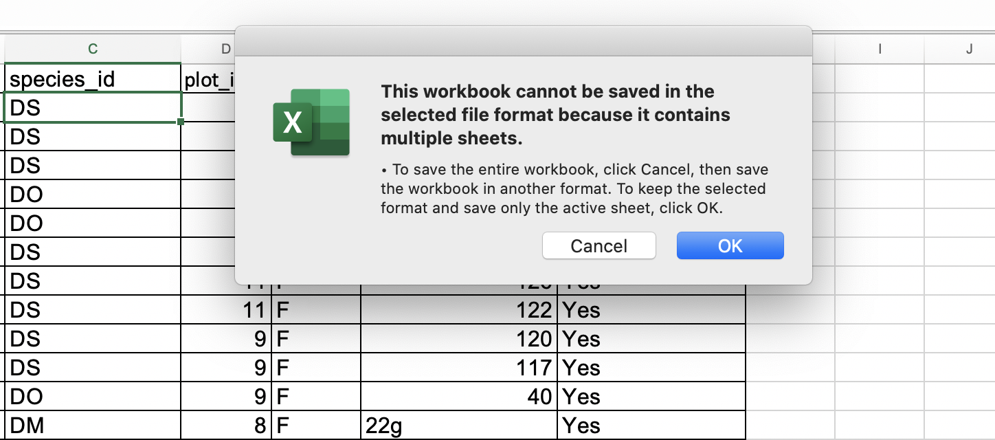 Saving active sheet warning