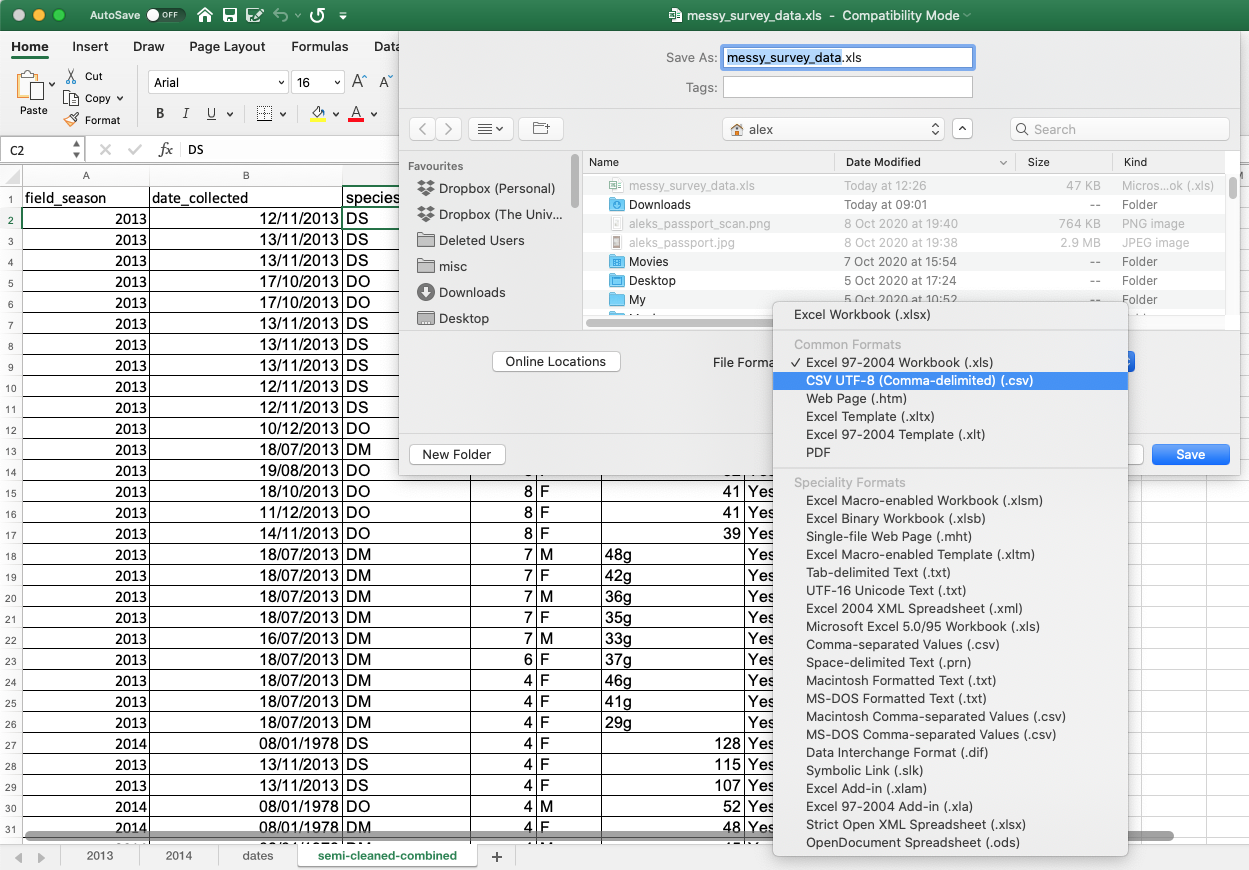 Saving an Excel file to CSV