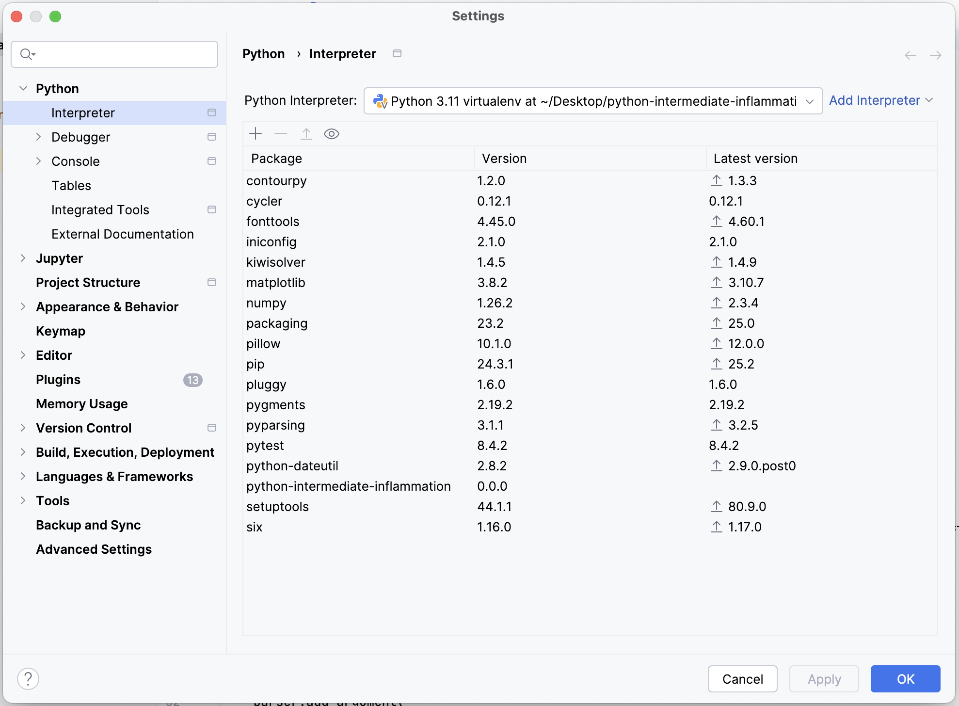 Packages Currently Installed in a Virtual Environment in PyCharm