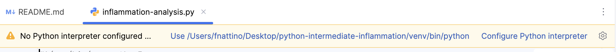 Missing Python Interpreter Warning in PyCharm